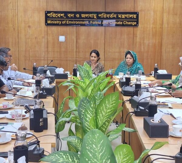হাতি সংরক্ষণে দীর্ঘমেয়াদি কার্যক্রম গ্রহণ করবে সরকার – সৈয়দা…