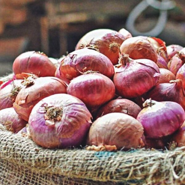চট্টগ্রাম বন্দর দিয়ে পেঁয়াজ আমদানি বন্ধ