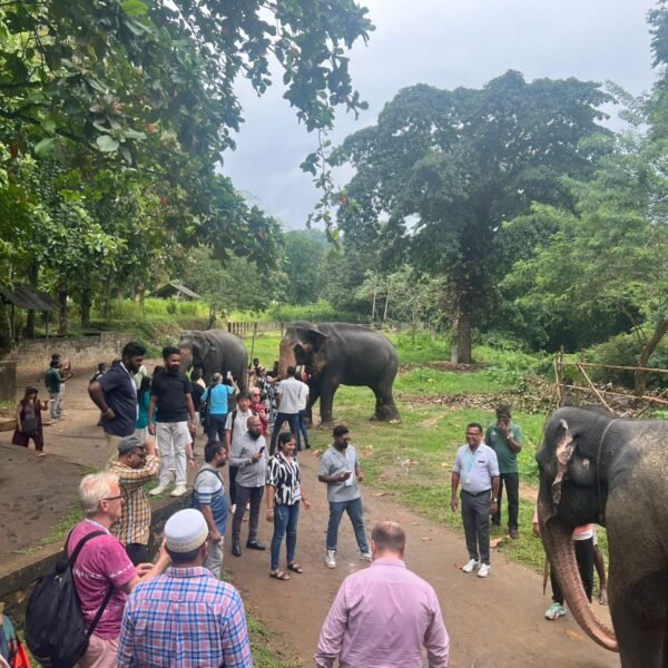 শ্রীলঙ্কা MICE Expo’র ফ্যাম ট্যুরে অতিথিদের নিয়ে মিলেনিয়াম এলিফ্যান্ট…