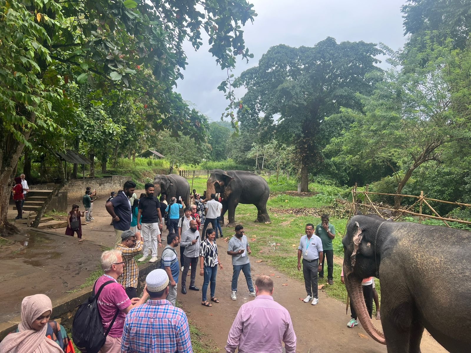 শ্রীলঙ্কা MICE Expo’র ফ্যাম ট্যুরে অতিথিদের নিয়ে মিলেনিয়াম এলিফ্যান্ট…