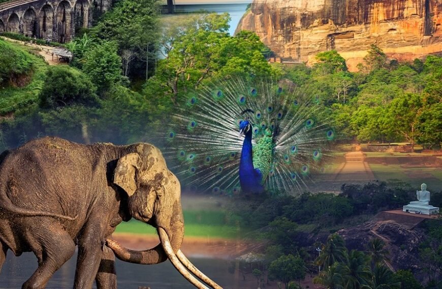 তামিলনাড়ুতে শুরু হলো শ্রীলঙ্কা পর্যটন…