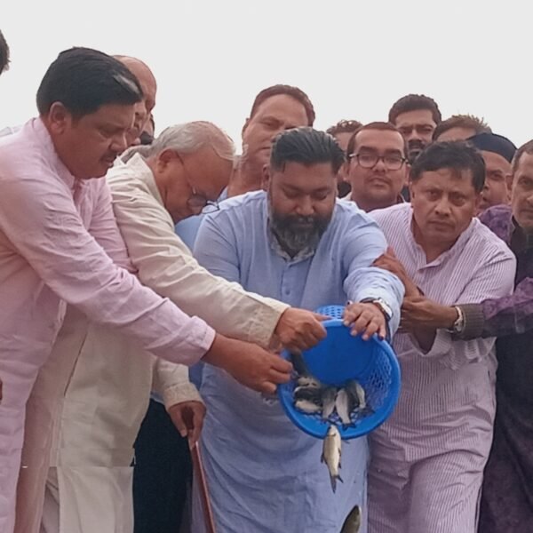 গাজীপুরে চিলাই নদীতে মাছের পোনা অবমুক্ত করলেন রুহুল কবির&hellip;