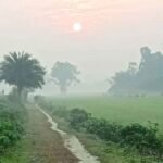 দিনাজপুরে শীতের অভিষেক প্রকৃতি পরছে ‘কুয়াশার চাদর’  