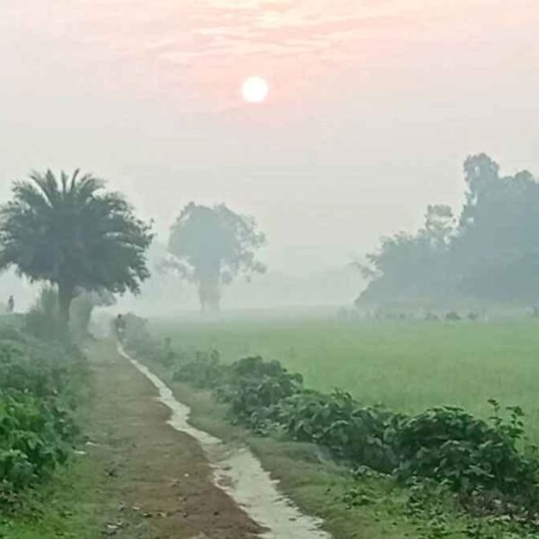 দিনাজপুরে শীতের অভিষেক প্রকৃতি পরছে ‘কুয়াশার চাদর’