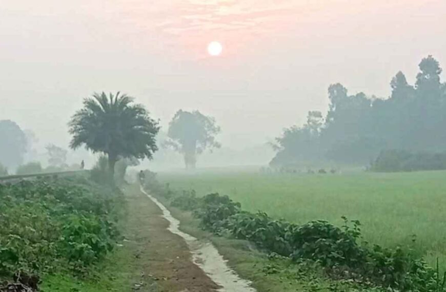 দিনাজপুরে শীতের অভিষেক প্রকৃতি পরছে…