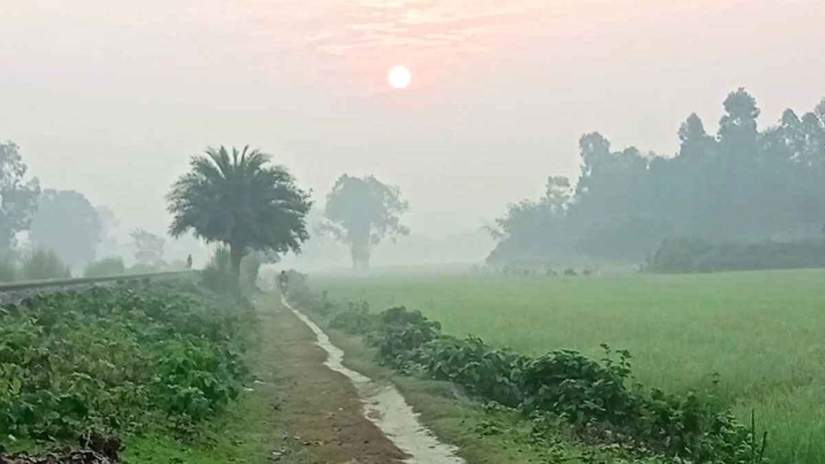 দিনাজপুরে শীতের অভিষেক প্রকৃতি পরছে ‘কুয়াশার চাদর’  