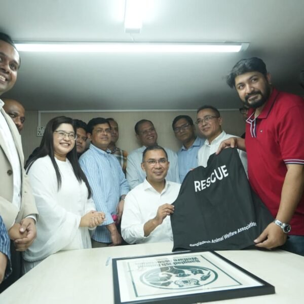 বনানীতে ‘ফ্রি অ্যানিমেল ক্লিনিক’ উদ্বোধন করলেন তারেক রহমান