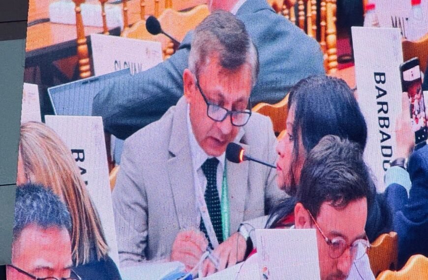 এলডিসি থেকে উত্তরণের পর একটি নির্দিষ্ট সময়…